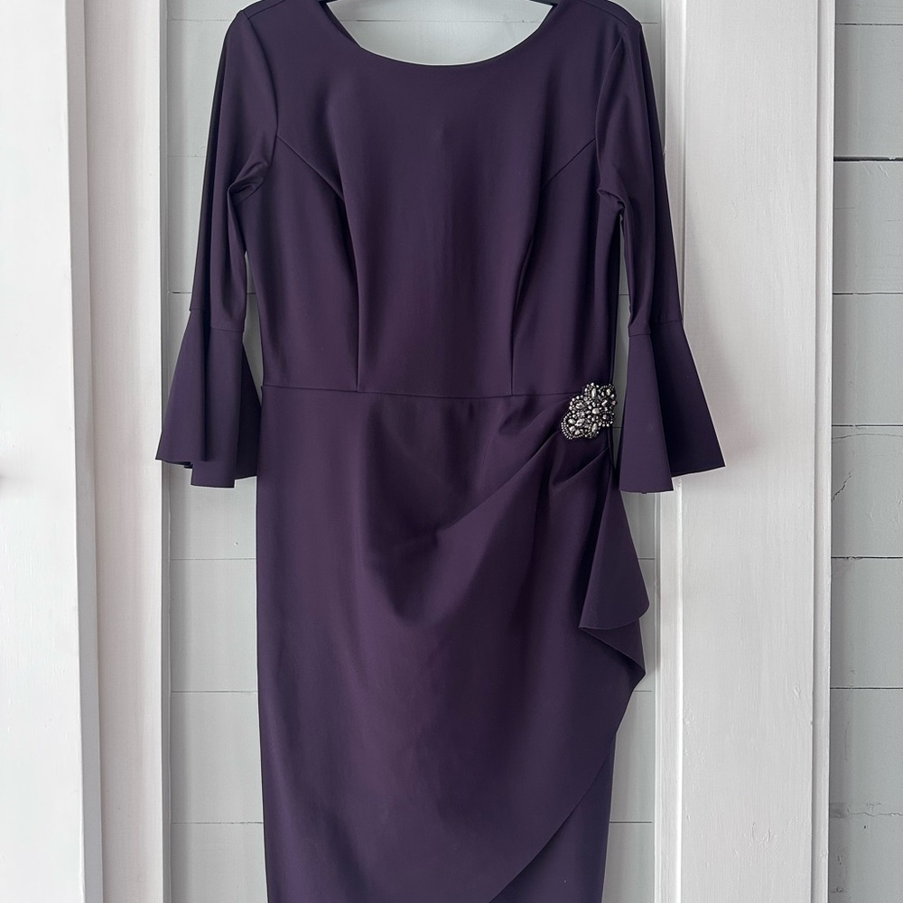 Alex Evenings Long Sleeve Purple Dress with Embellishment